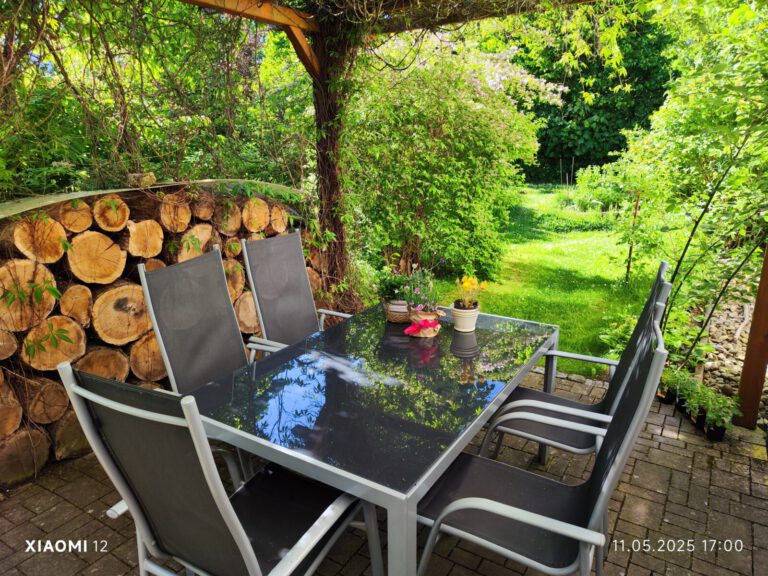 IMG 20250511 170017 768x576