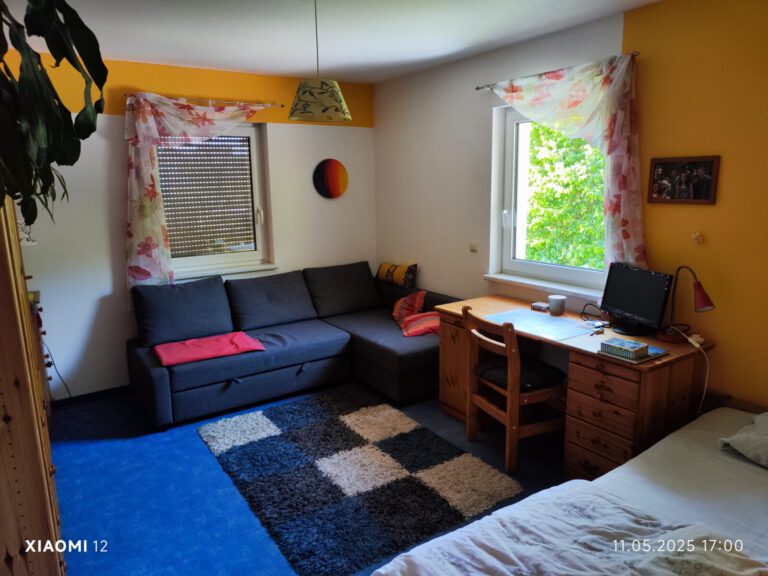 IMG 20250511 170054 768x576