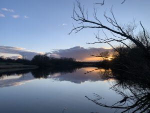 IMG 7500 300x225