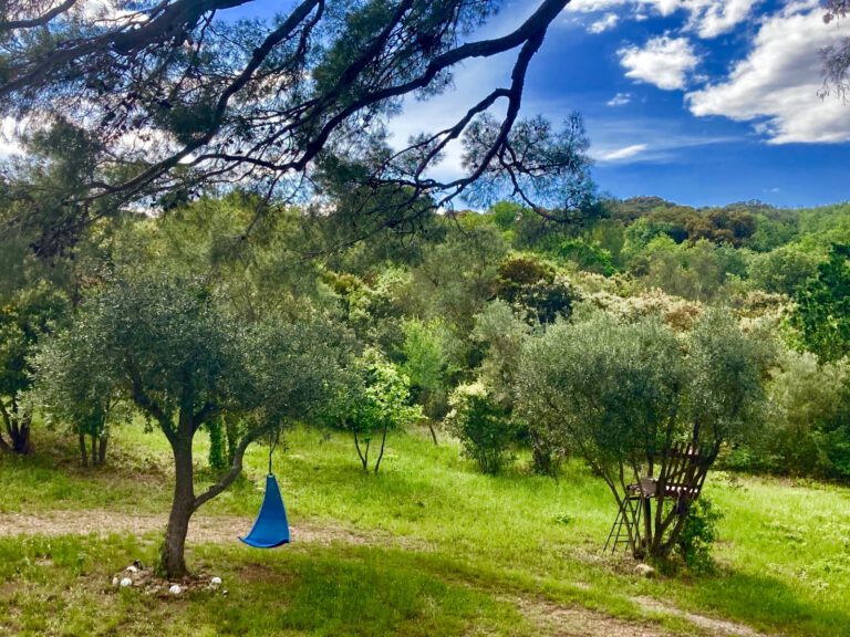 image 20212205 175159.jpeg 768x576