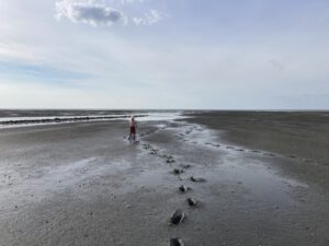 IMG 6787 300x225