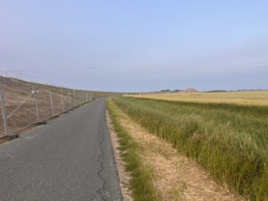 IMG 7986 300x225