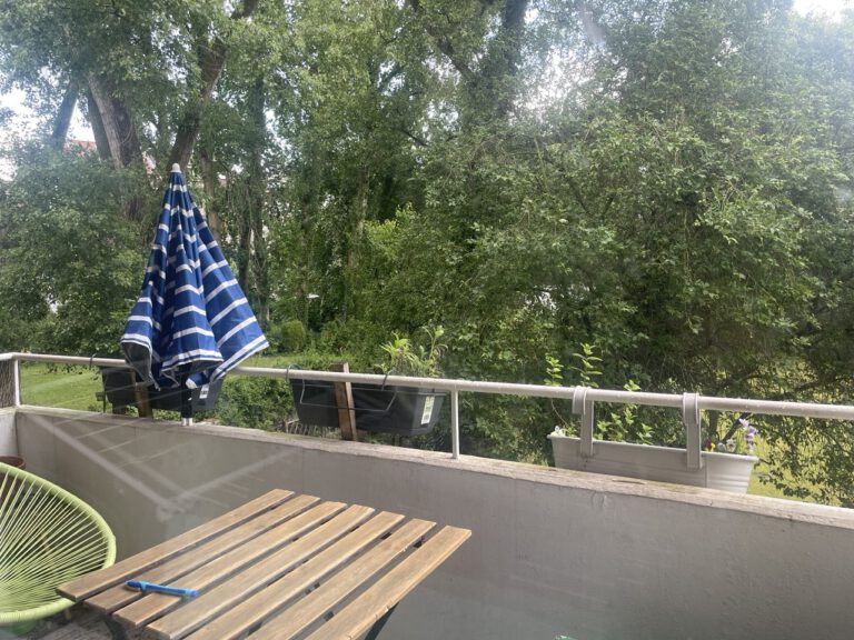 photo 2025 06 23 16.56.32 768x576