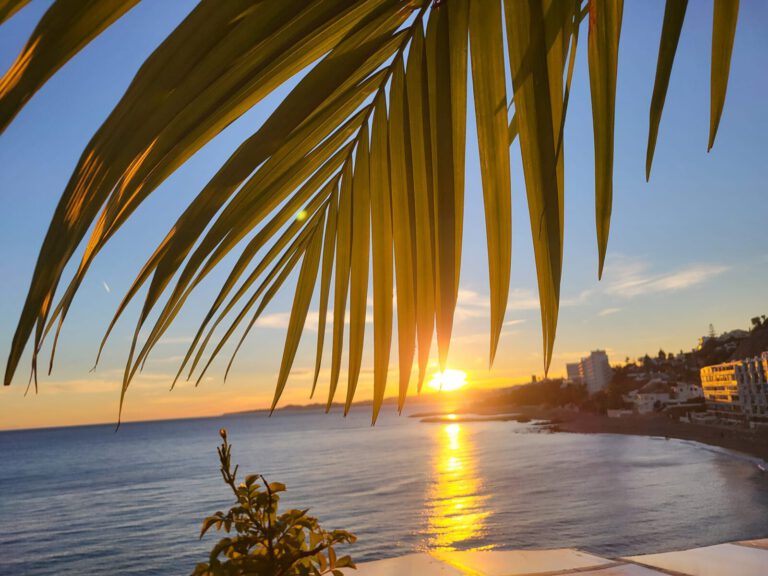 481274223 1170063661795676 6633167736131197360 n 768x576