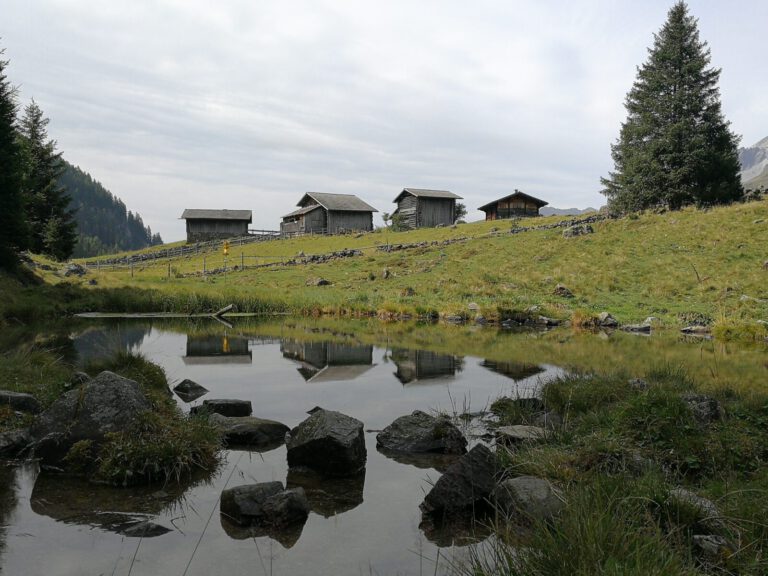 IMG 20170828 112613 768x576