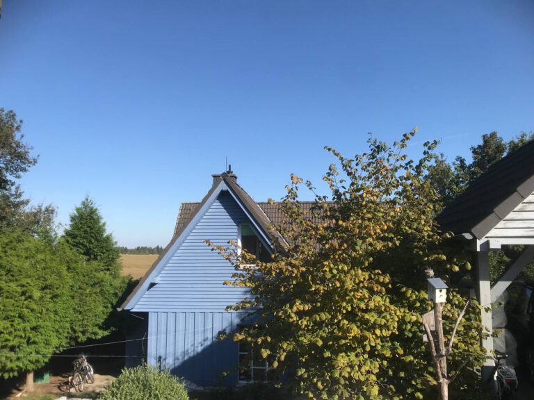 photo 2024 11 10 19 47 38 768x576