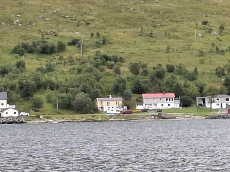 1200 768x576