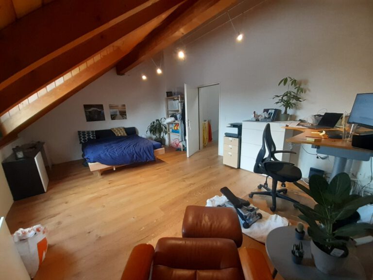 20251016 143415 768x576