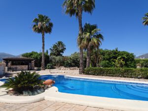 IMG20250525114456 1 300x225