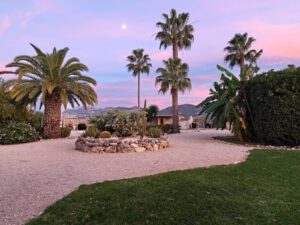 IMG20251101180927 300x225