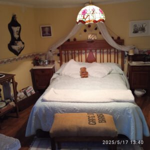 IMG 20250517 134057 300x300