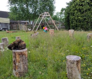 Screenshot 20260105 0900582 300x259