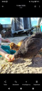 Screenshot 20260105 090258 139x300