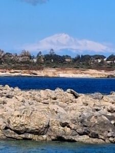 ae895c95 0831 4517 accc f9941cd2ed71 1 all 837 225x300