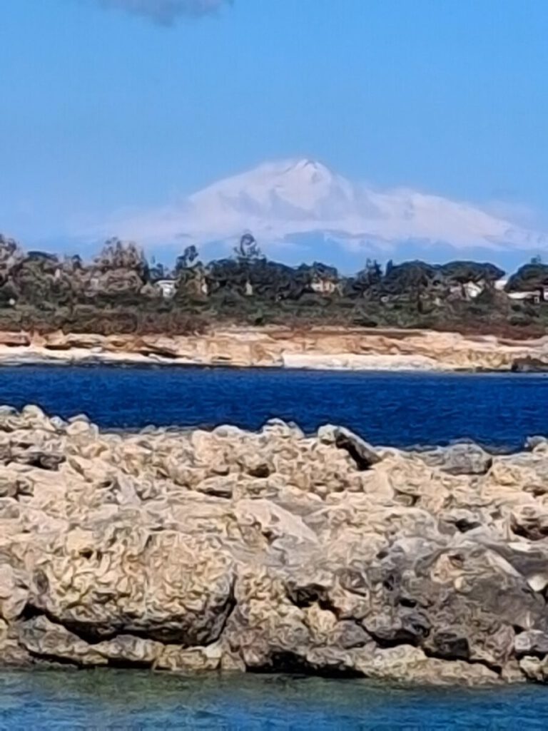 ae895c95 0831 4517 accc f9941cd2ed71 1 all 837 768x1025