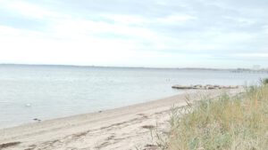 3a3df30a 80a1 4f7f b97a 84f7ef7ef2b2 1 300x169