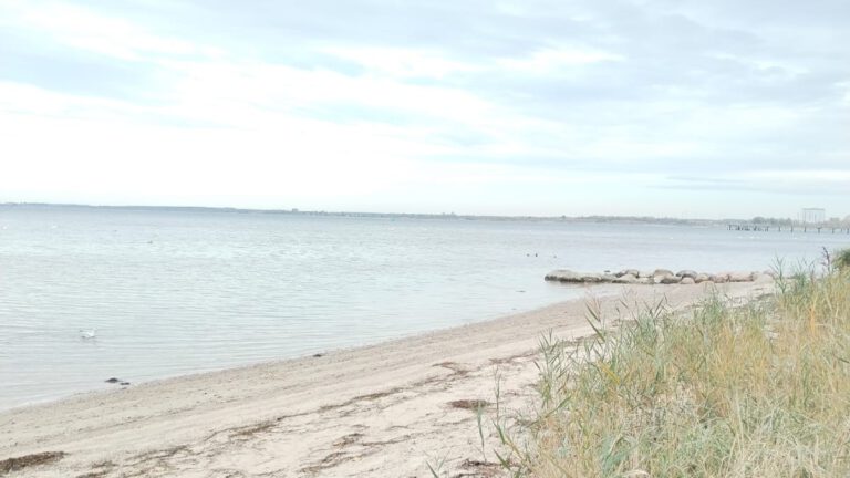 3a3df30a 80a1 4f7f b97a 84f7ef7ef2b2 1 768x432