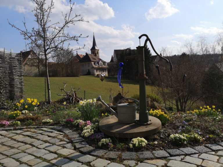 IMG 20210326 150111 768x576