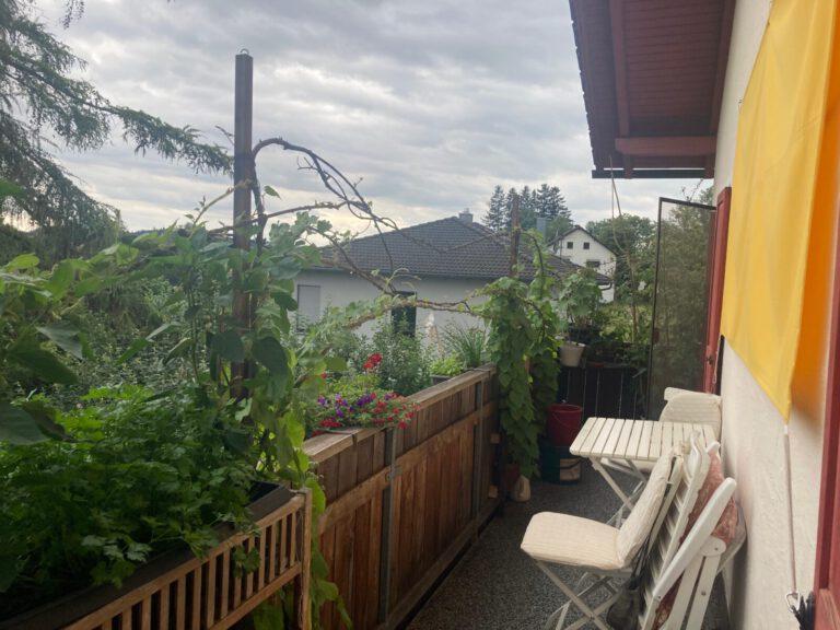 IMG Balkon 768x576